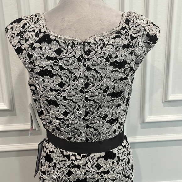 Brand New Gorgeous R&M Richards Evening Gown - Picture 9 of 12